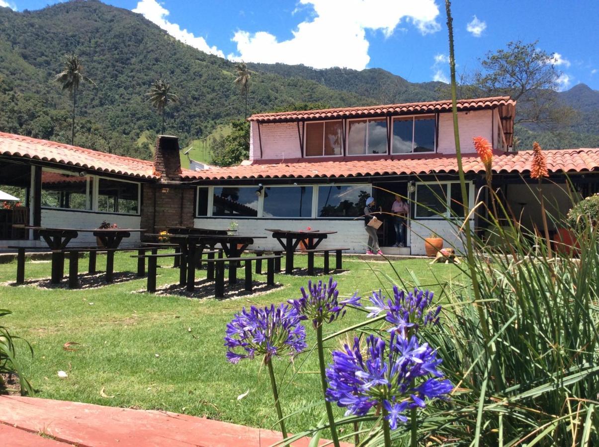 Palmas De Cocora Guest House Salento Exterior photo