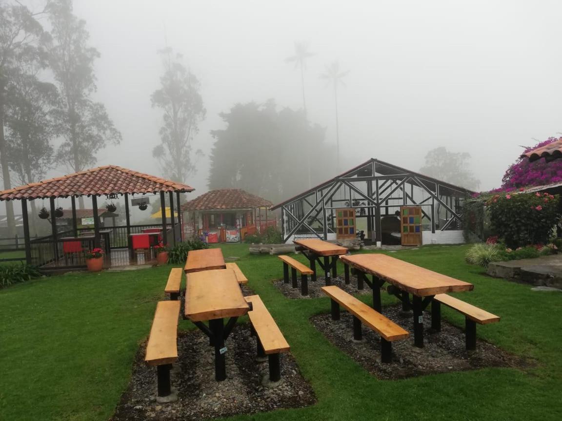 Palmas De Cocora Guest House Salento Exterior photo